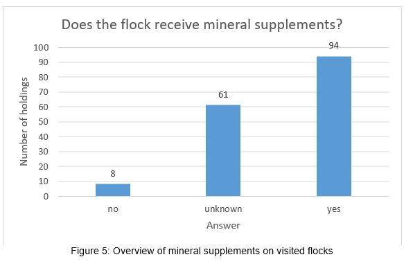 Column chart - Figure 5 - Overview of mineral supplements on visited flocks