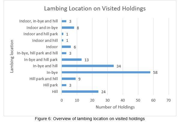 Column chart - Figure 6 - Overview of lambing location on visited holdings