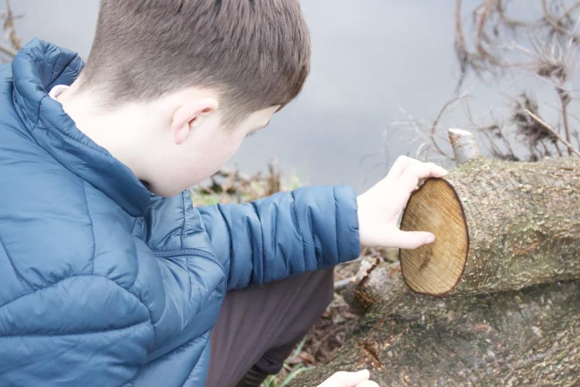 Child kneeling at waters edge looking at felled tree rings