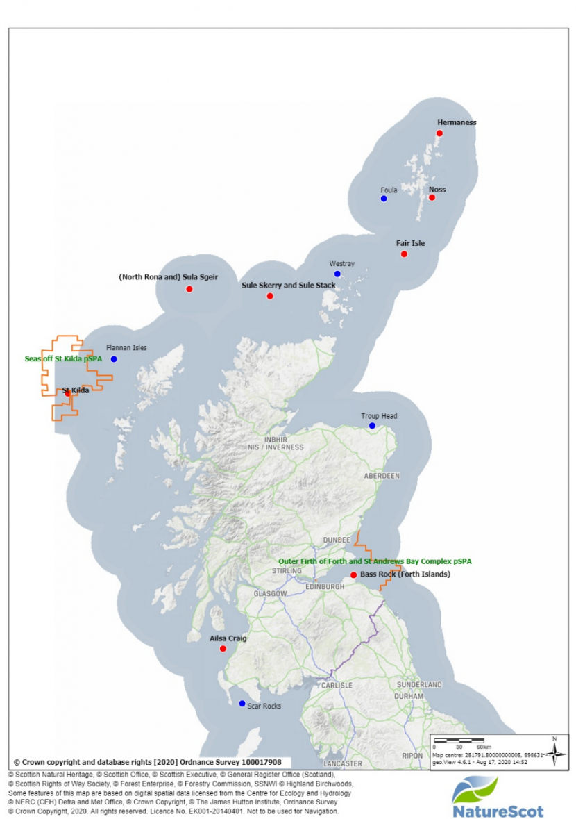 Map showing location of gannet colonies in Scotland.