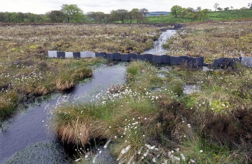 Blocked drainage ditches