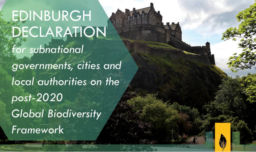 Edinburgh Declaration for subnational governments, cities and local authorities on the post-2020 Global Biodiversity Framework