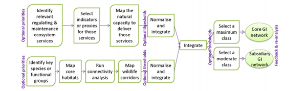 A flow diagram illustrating how one might integrate ecological networks and ecosystem services