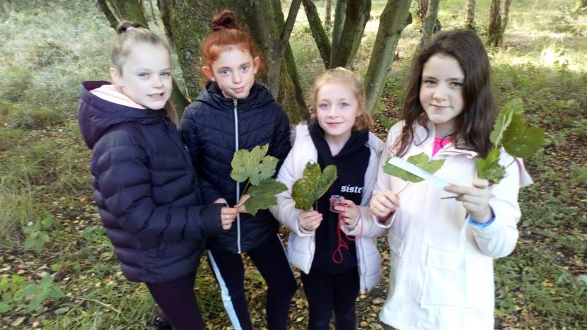 4 primary school girls looking at leaves in the forest