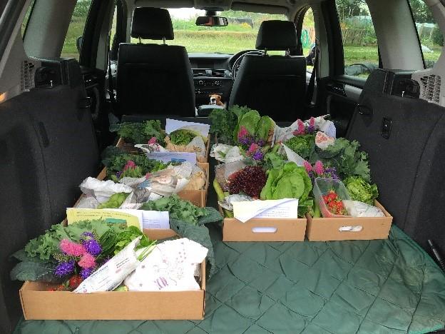 Boxes of vegetables in boot of car