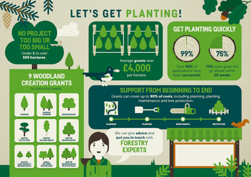 Scottish Forestry – Woodland Creation Infographic