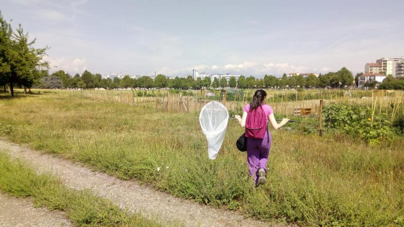 Girl with butterfly net in field copyright Francesca Martelli