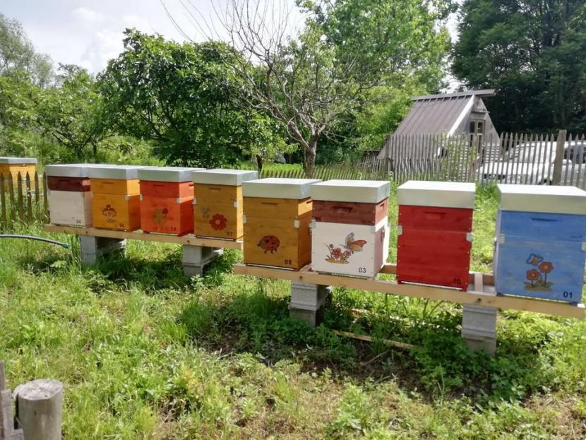 Eight brightly coloured beehives sitting on a platform copyright Francesca Martelli