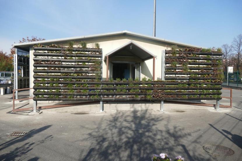 A framework of green plants in front of a building to create a green wall copyright Francesca Martelli