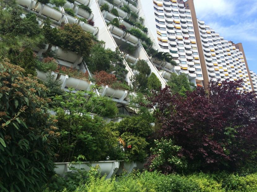 A living wall at Vienna’s Wohnpark Alt-Erlaa - a housing and commercial complex.