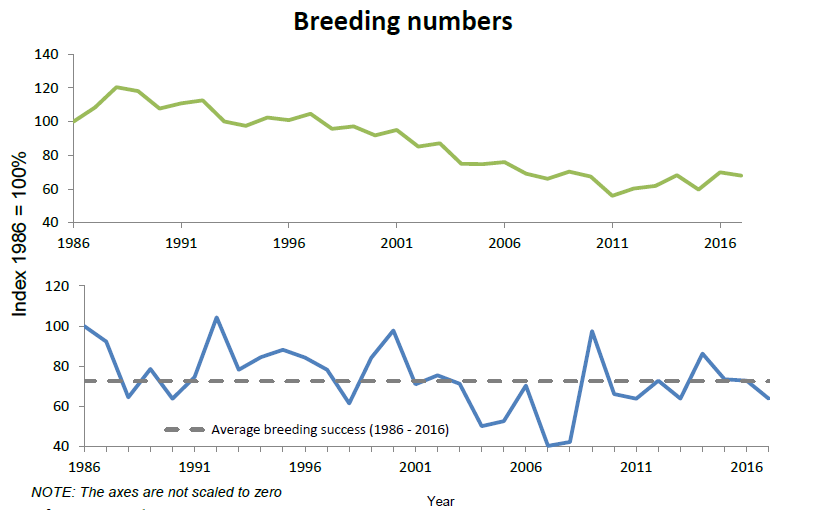graph showing breeding numbers of seabirds and success from 1986 to 2016