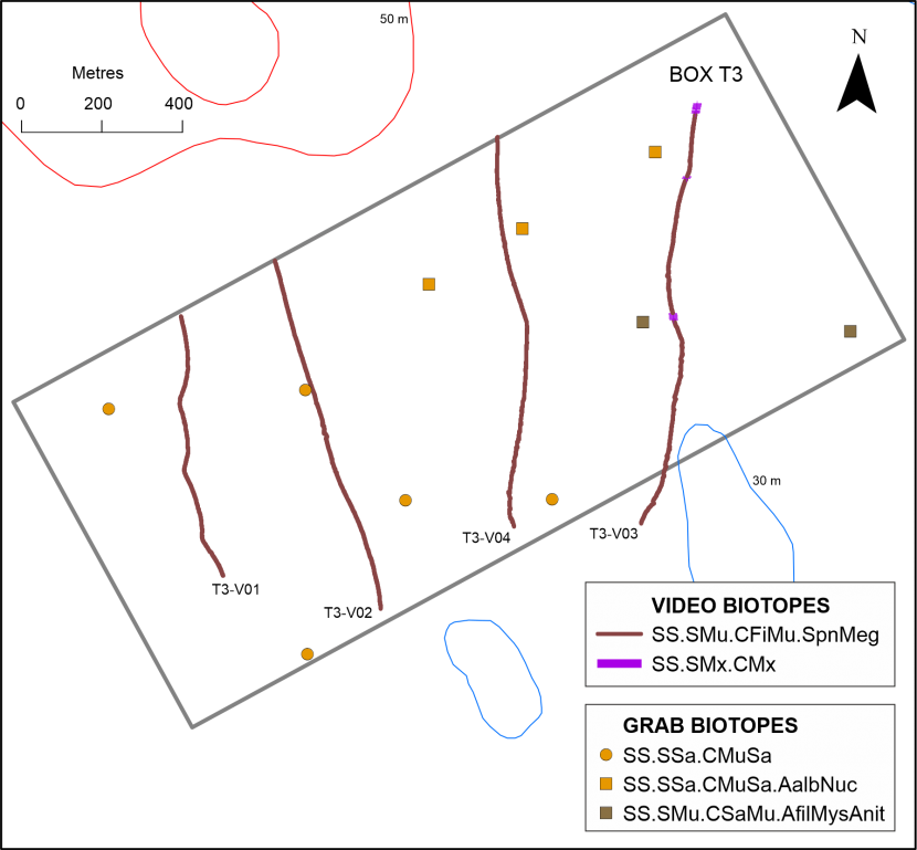 The distribution of seabed habitats or biotopes observed along drop-down video monitoring transects and at point grab sampling stations in Arran monitoring box T3