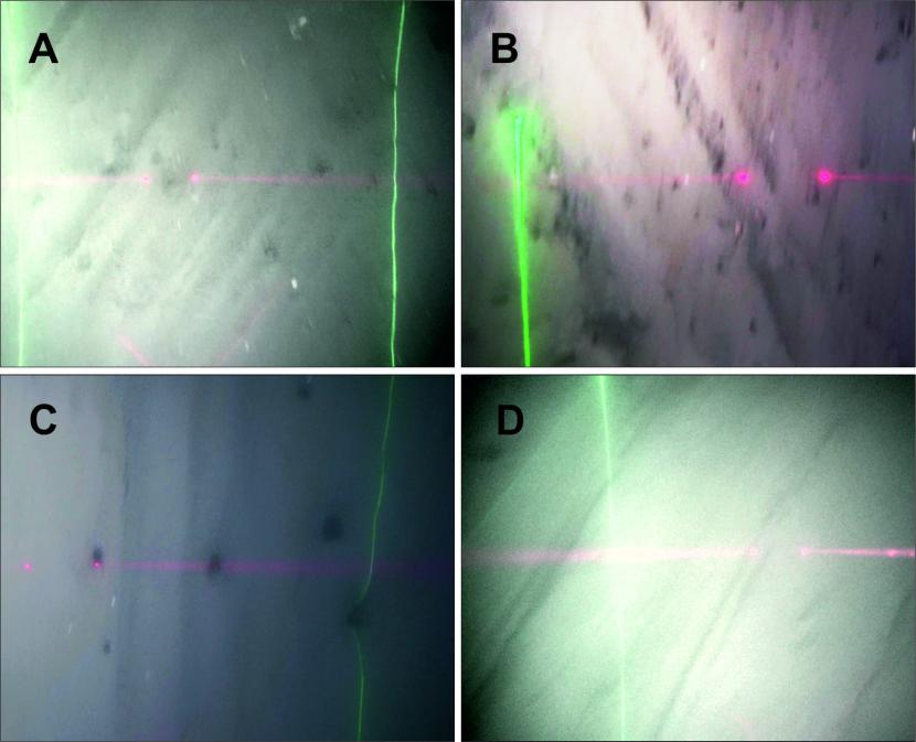A series of four slightly blurred images captured from the drop-down video footage of muddy seabed habitats