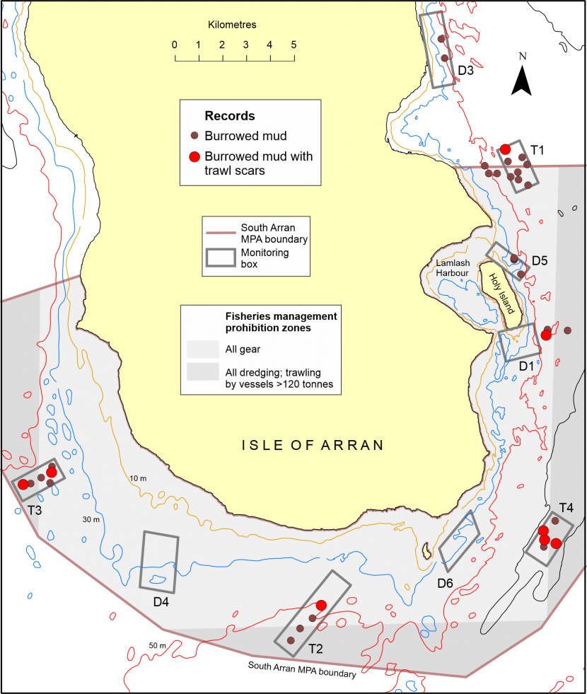 Map of the southern end of the Isle of Arran in the Clyde Sea showing the distribution of scars or furrows