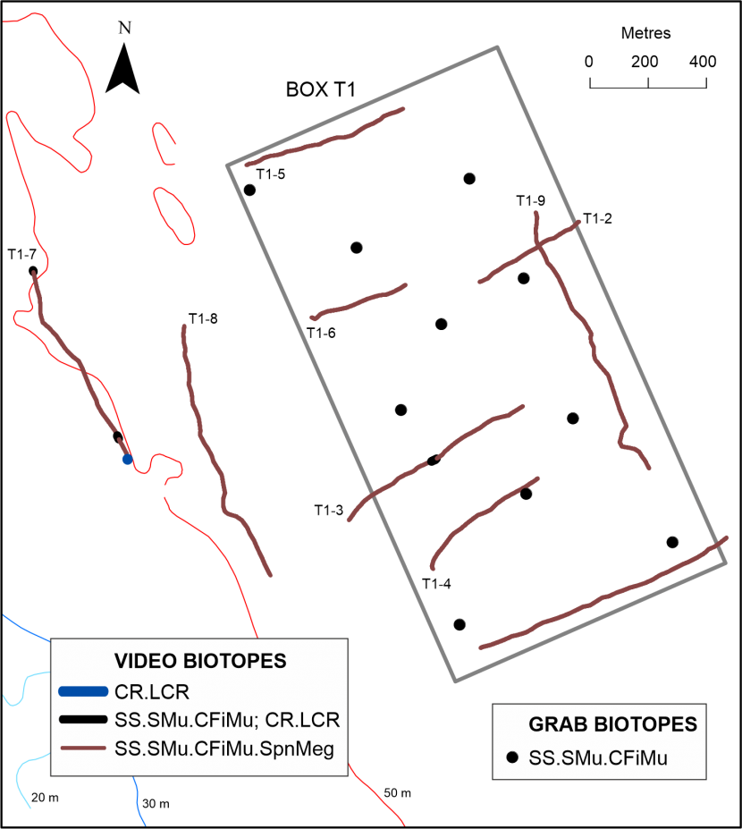 The distribution of seabed habitats or biotopes observed along drop-down video monitoring transects and at point grab sampling stations in Arran monitoring box T1