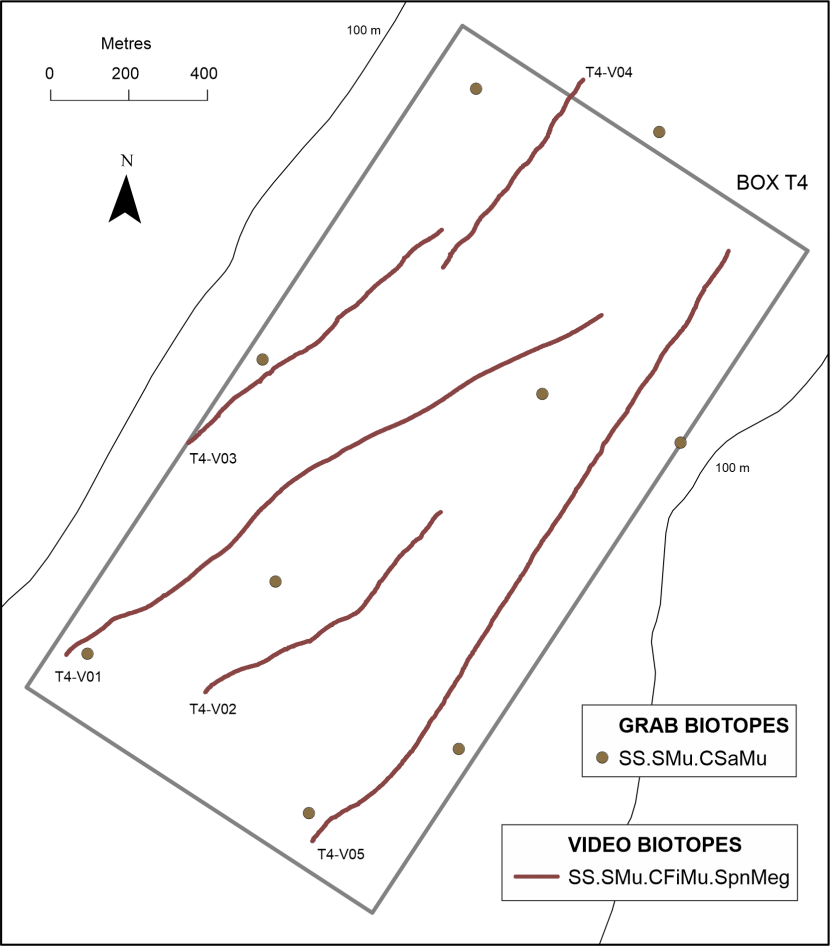 The distribution of seabed habitats or biotopes observed along drop-down video monitoring transects and at point grab sampling stations in Arran monitoring box T4