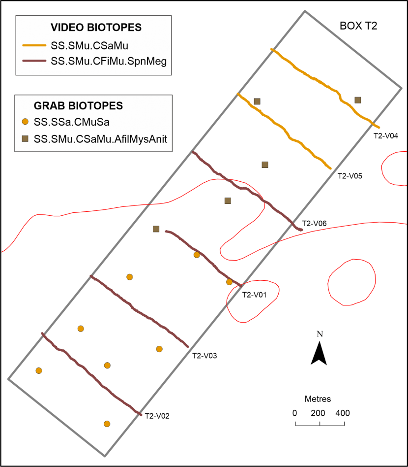 The distribution of seabed habitats or biotopes observed along drop-down video monitoring transects and at point grab sampling stations in Arran monitoring box T2