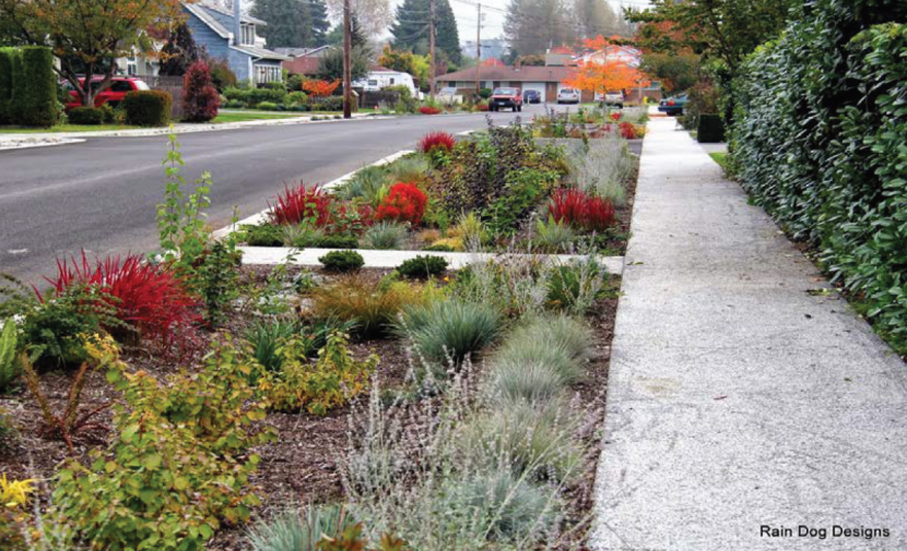 A suburban street with a rain garden created along the outer edge of the pavement.