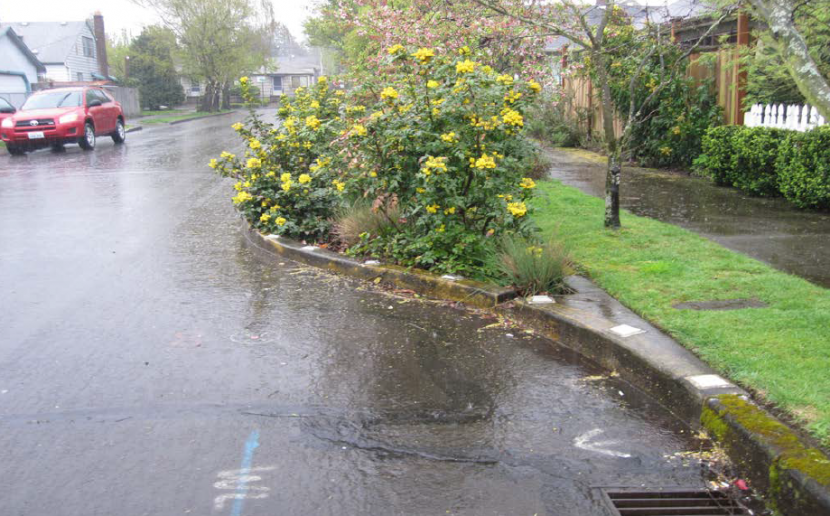 A pavement of a suburban street.  A short stretch of the kerb has been built out into the road, enclosing a rain garden. 