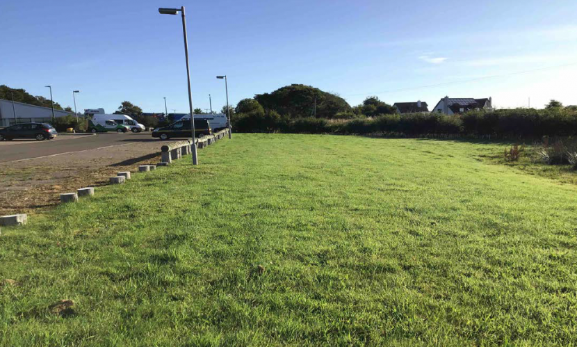 Photograph of the lawn beside the car park, with two lamp posts and a wooden barrier at the edge of the grass.