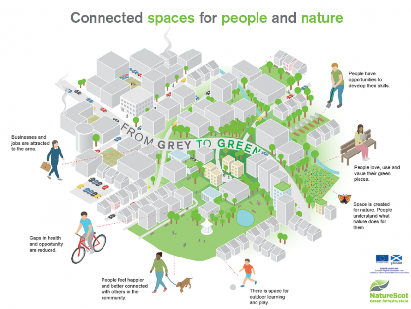 Green Infrastructure Infographic with NatureScot logo