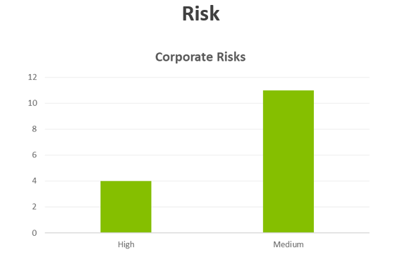 Figure 1 - Corporate Risks