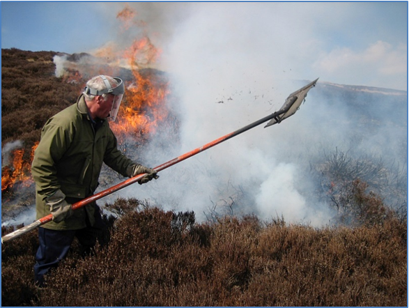 Figure 1 - Managing a fire with a beater