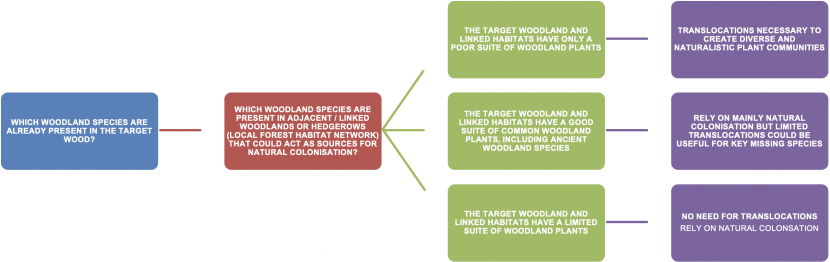 A decision tree to help woodland managers decide whether woodland plant translocations are appropriate for their woodland 