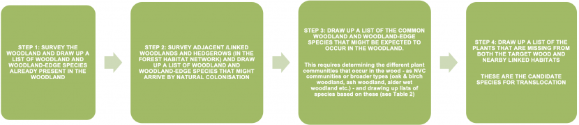 A flow chart that sets out the steps in assessing the candidate woodland plant species for translocation 
