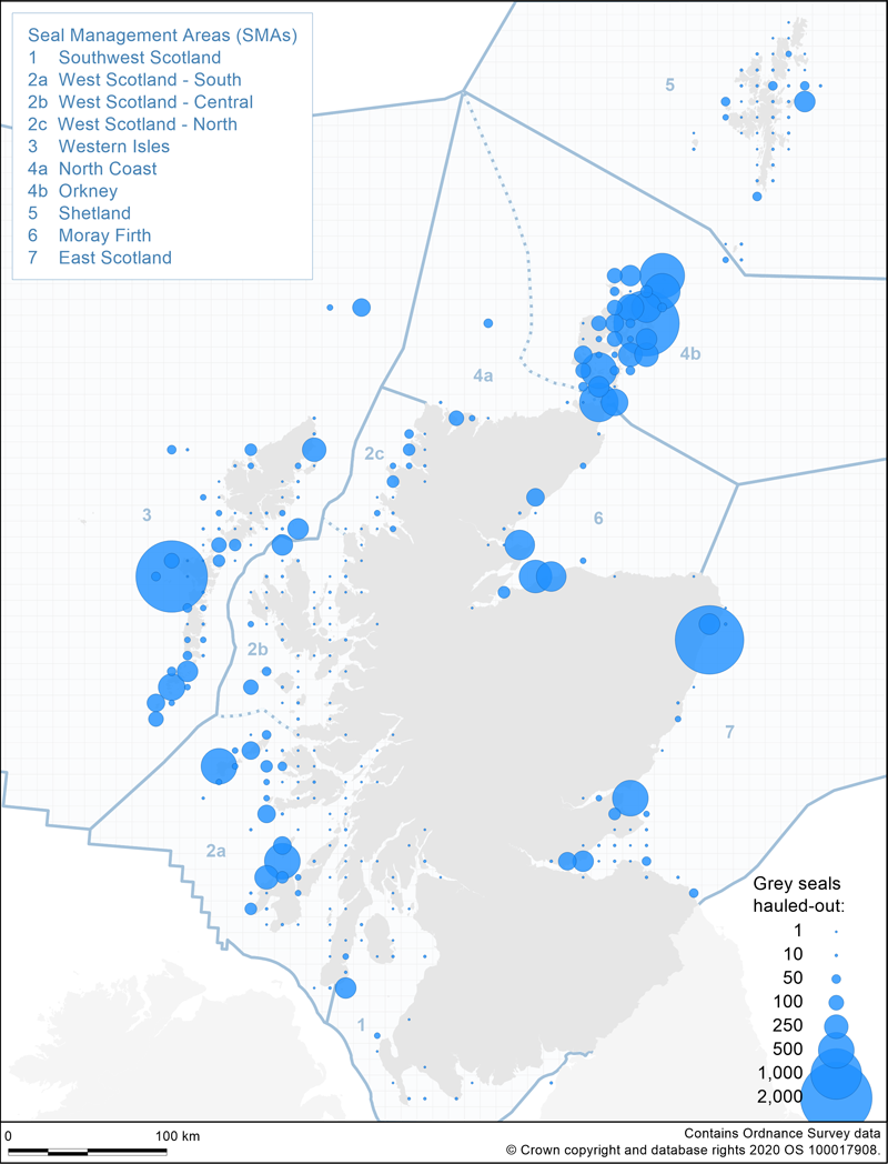 Map showing grey seal counts in Scotland