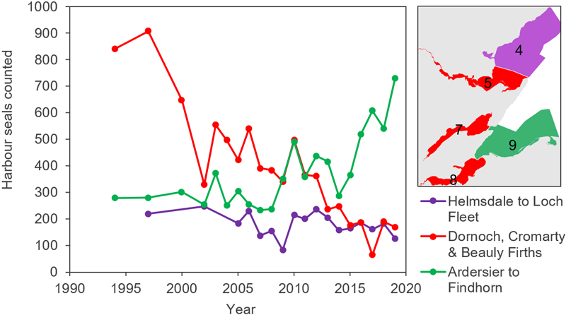 Line graph displaying regional harbour seal counts