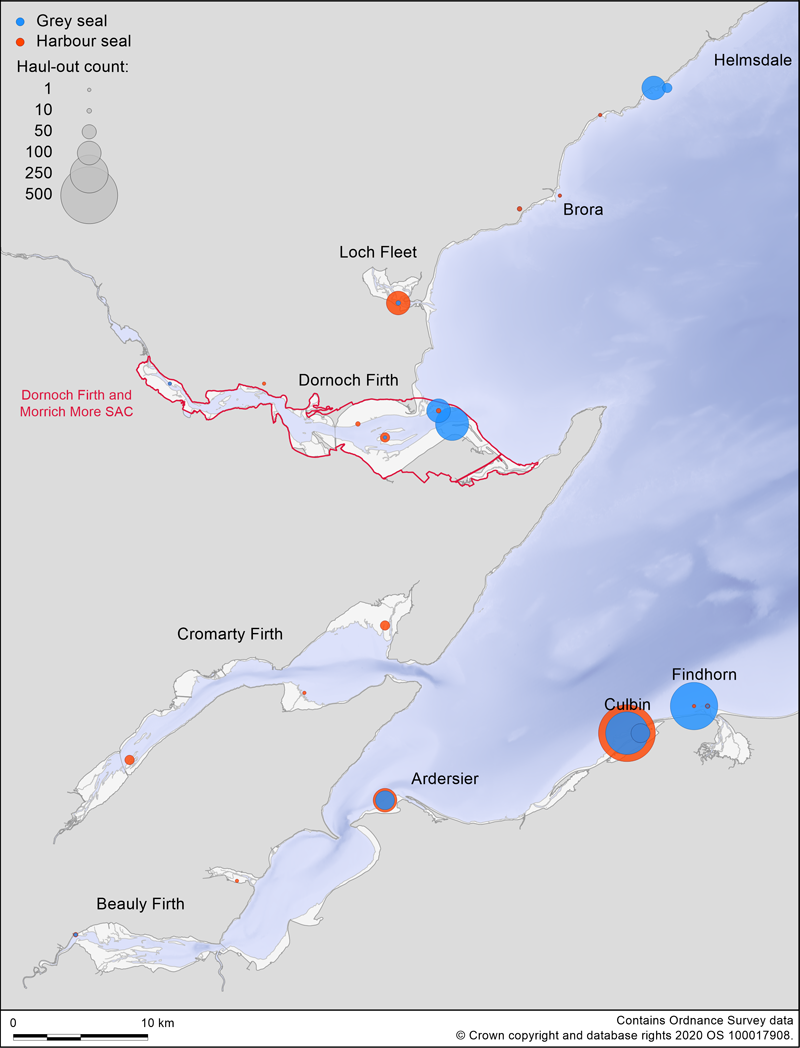 Map showing seal counts in Moray Firth