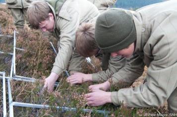 men bending down in heather with transect squares