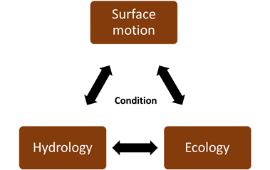 Figure 1. Schematic representation of the interdependence hydrology, ecology, surface motion and peatland condition