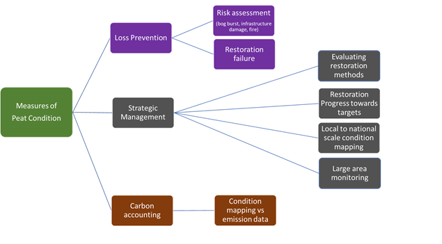 Figure 2. Possible peatland management applications of InSAR measures of peatland condition.