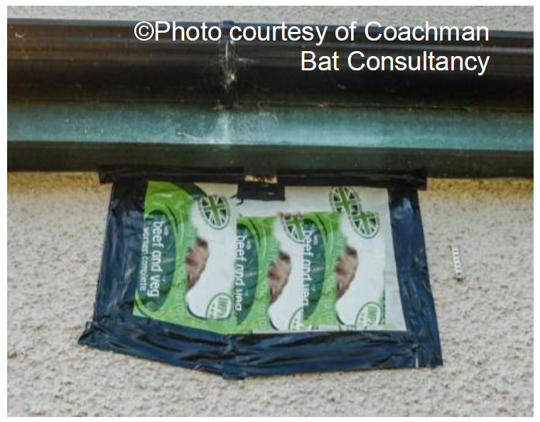 Image of base layer of bat excluder