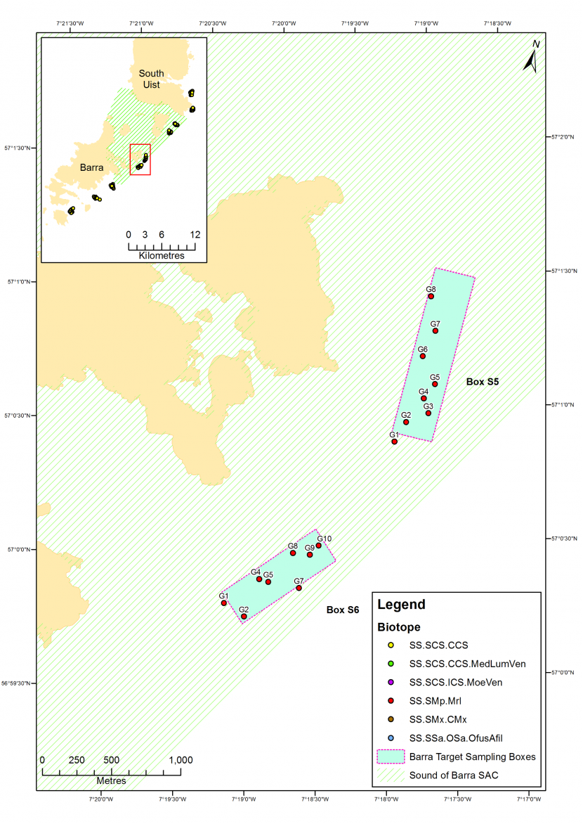 Distribution of biotopes at the Sound of Barra SAC (box S5 and S6) from the 2018 grab sample survey