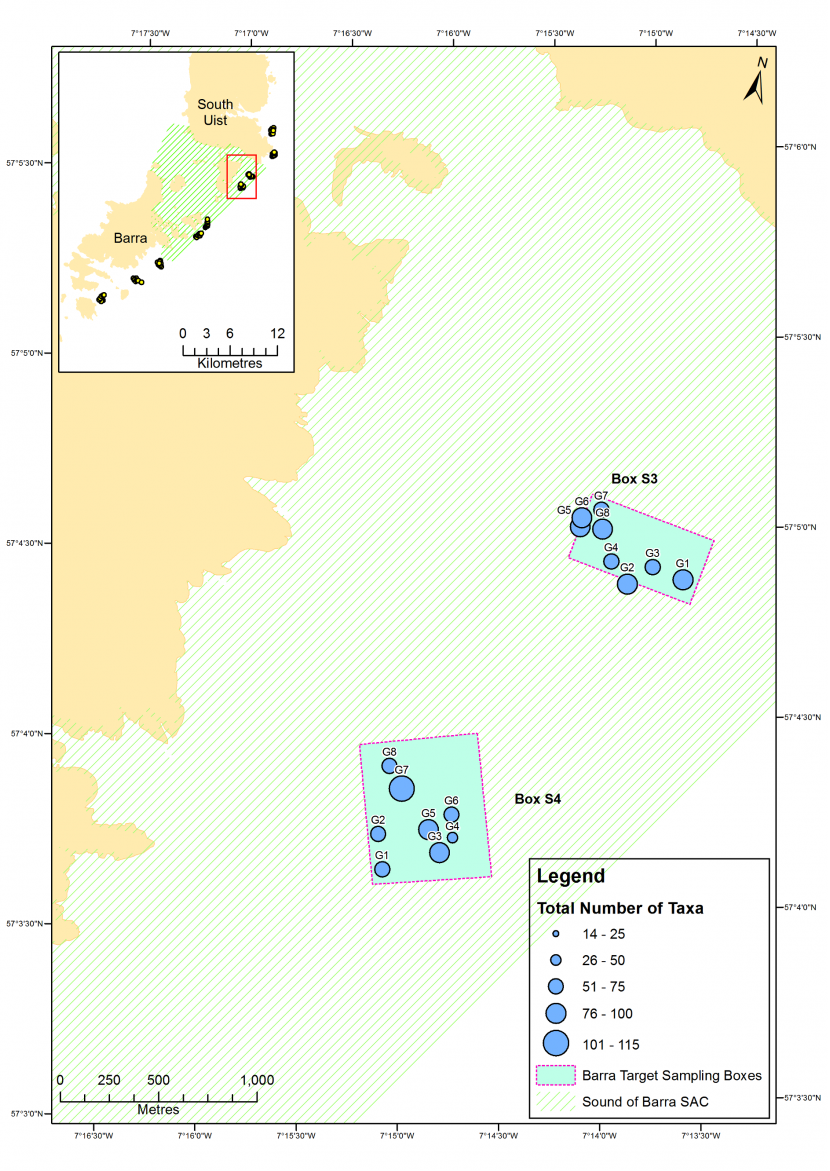 Map of total number of taxa