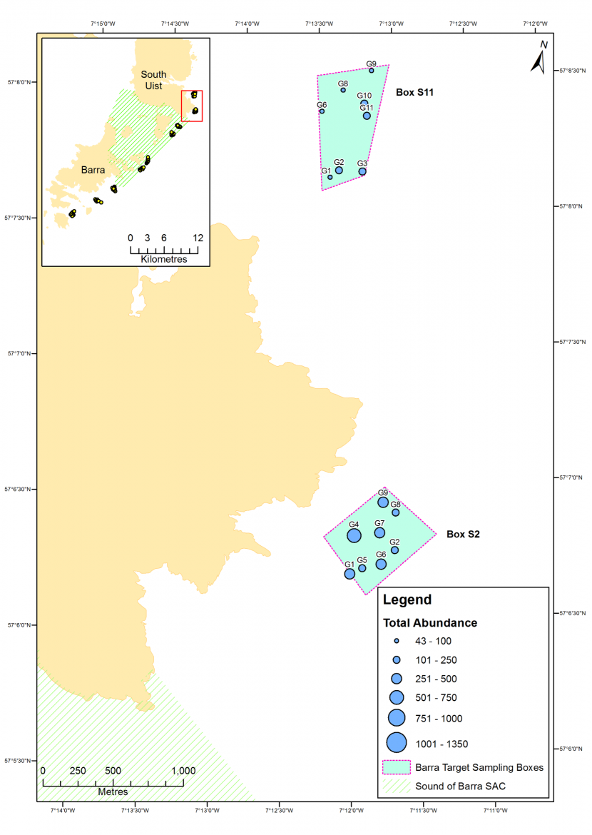 Map of total abundance