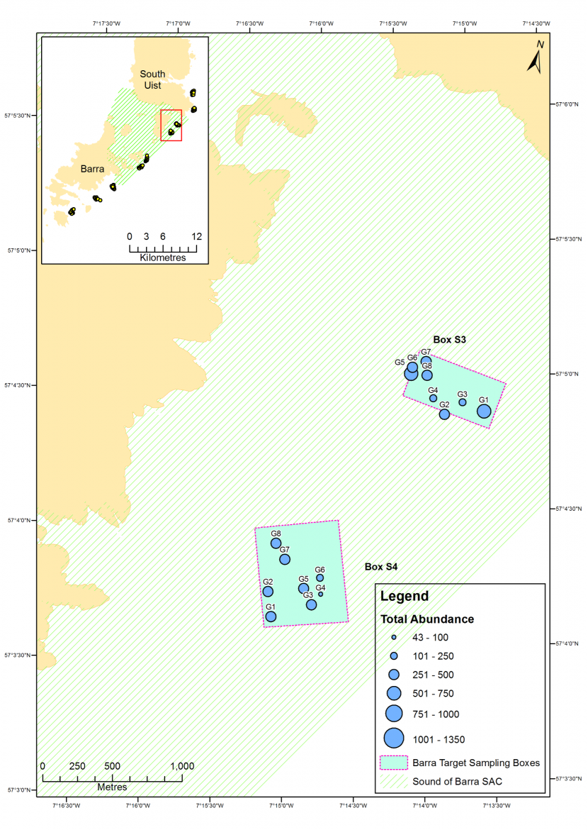 Map of total abundance