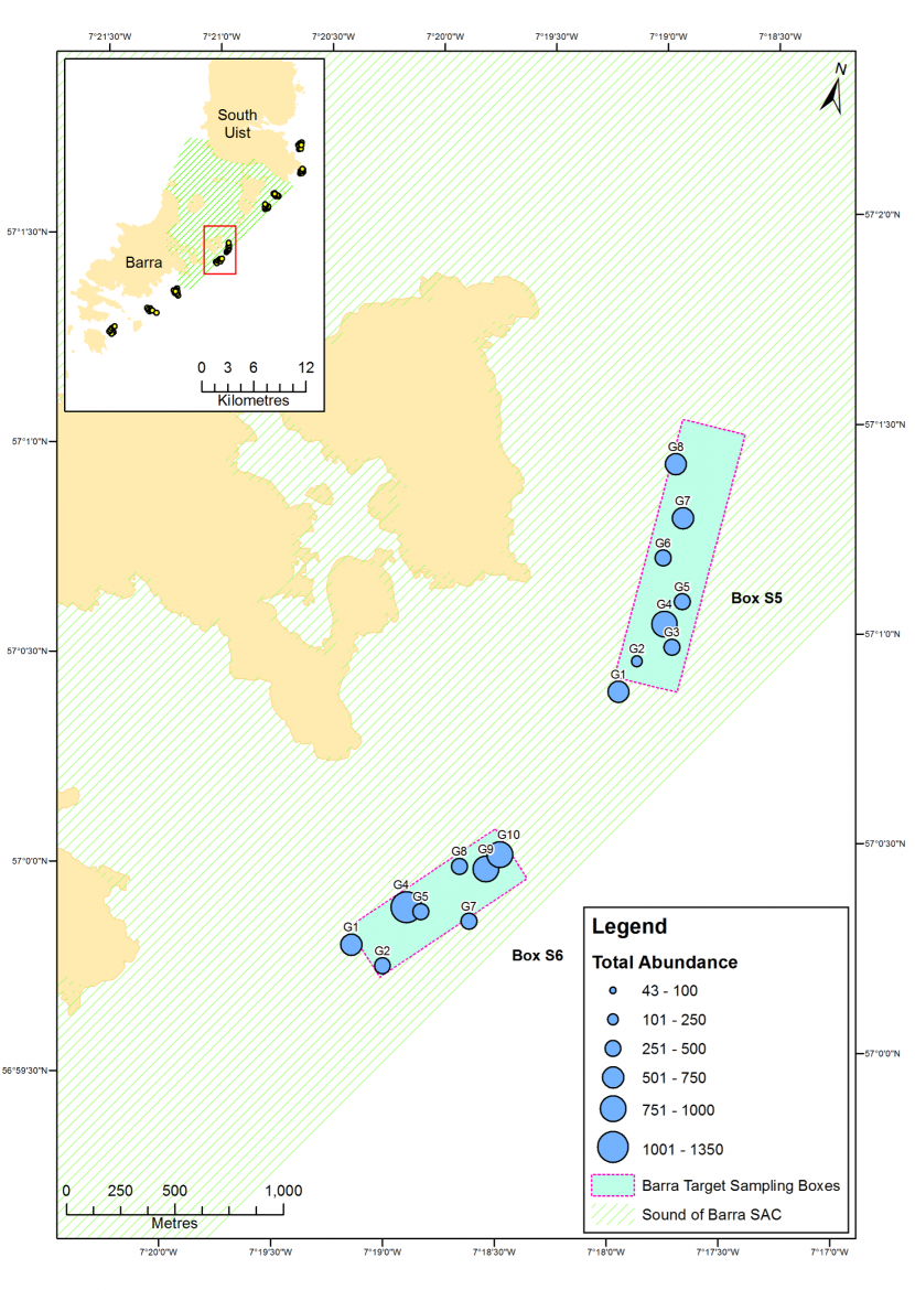Map of total abundance