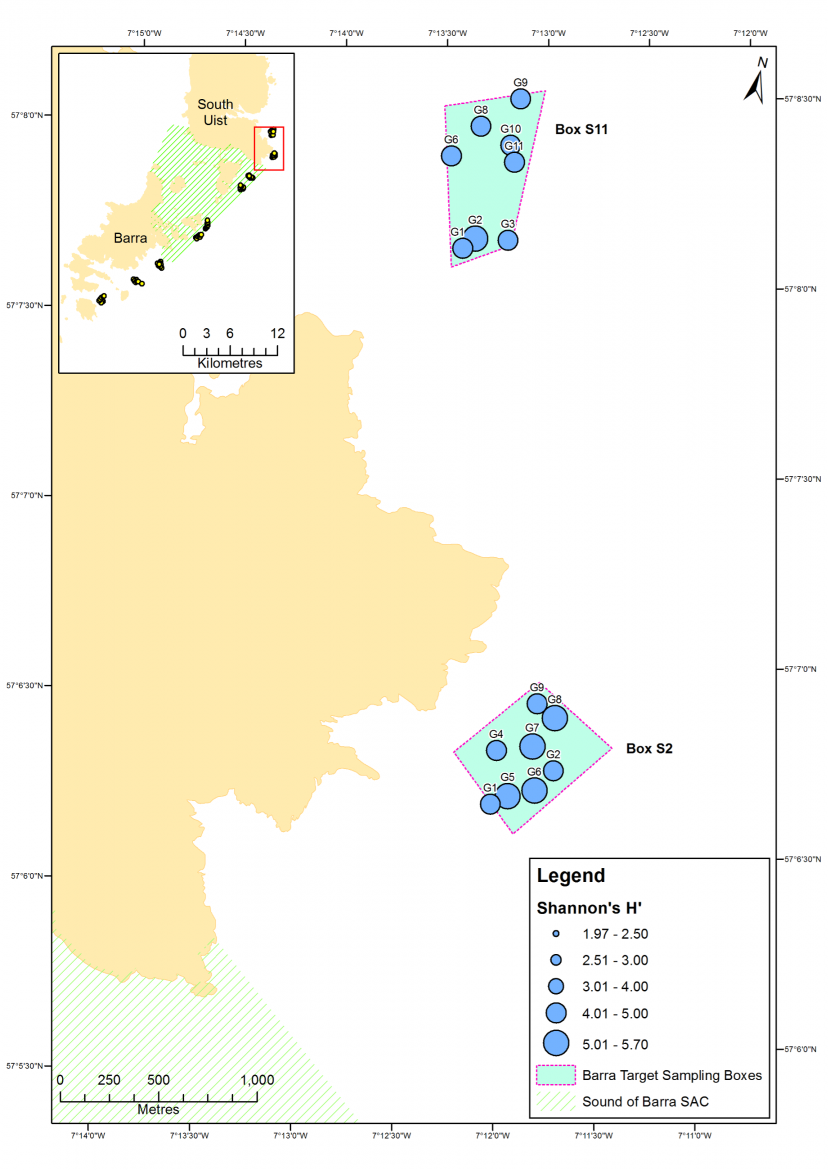 Map of Shannon's H