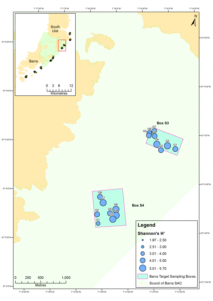 Map of Shannon's H