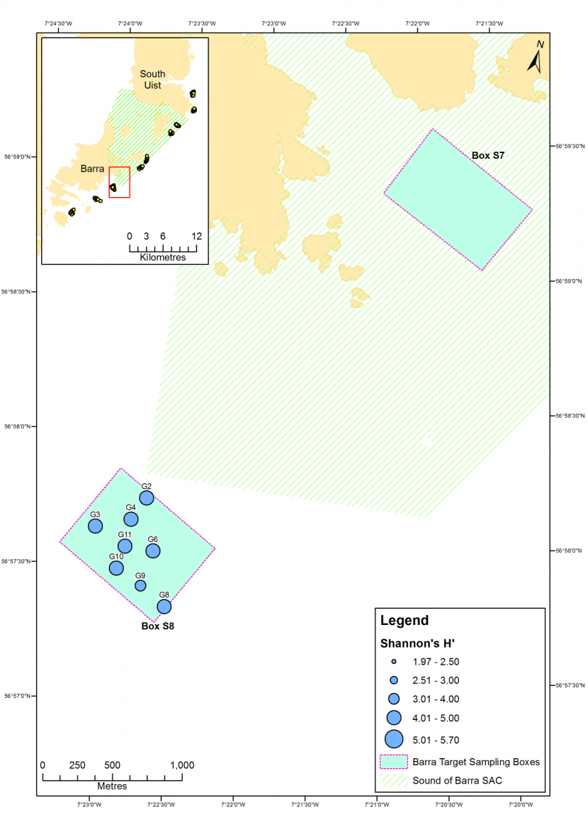 Map of Shannon's H 
