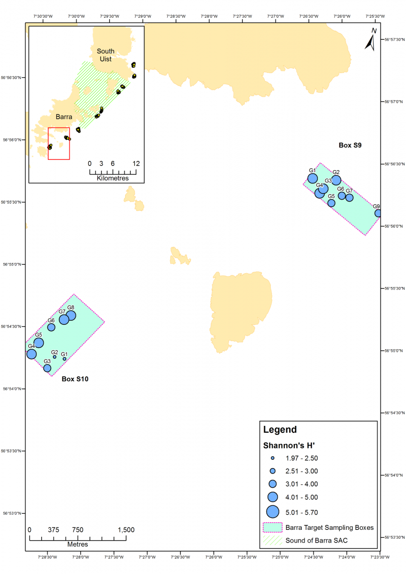Map of Shannon's H