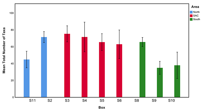 Average total number of species from grab samples at the Sound of Barra SAC survey boxes in 2018