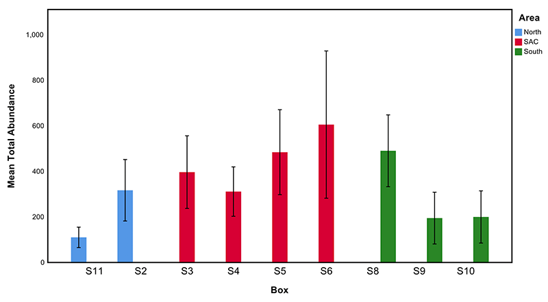 Average total infauna abundance at the Sound of Barra SAC survey boxes in 2018