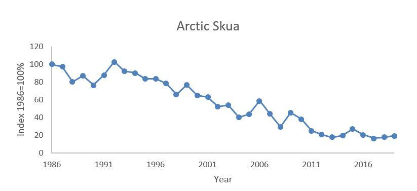 The data for the graph on Arctic Skua - breeding numbers is provided in table 2