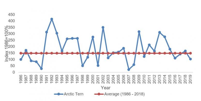 The data for the graph on Arctic Tern - breeding numbers is provided in table 3