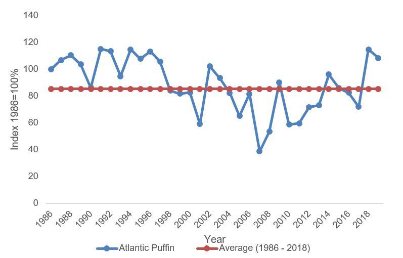 The data for the graph on Atlantic Puffin - breeding numbers is provided in table 4